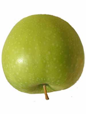 granny_smith_1j Apfel Granny Smith