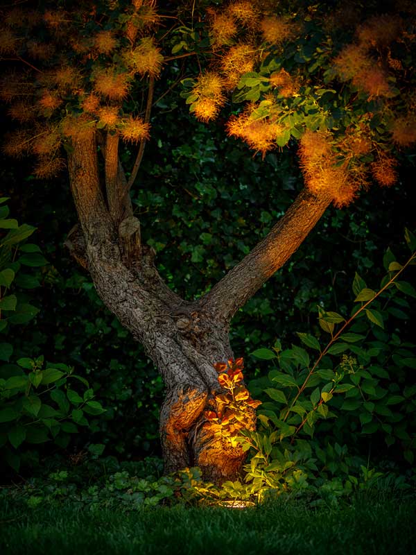 Einbauleuchte Rubum bei Nacht