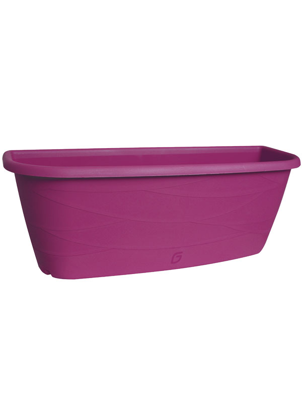 Blumenkasten Maya purple