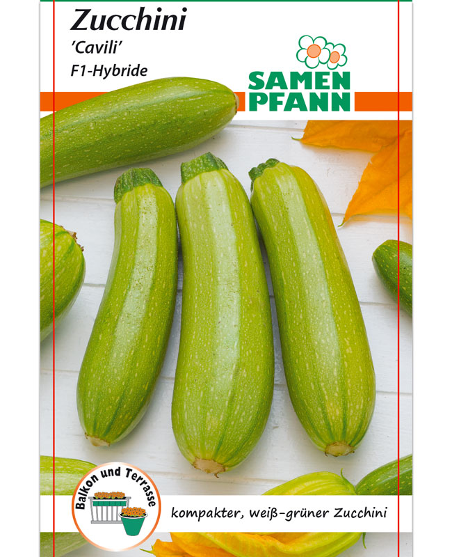 zucchini-cavili Zucchini 'Cavili' - F1-Hybride (Art.Nr. G519)