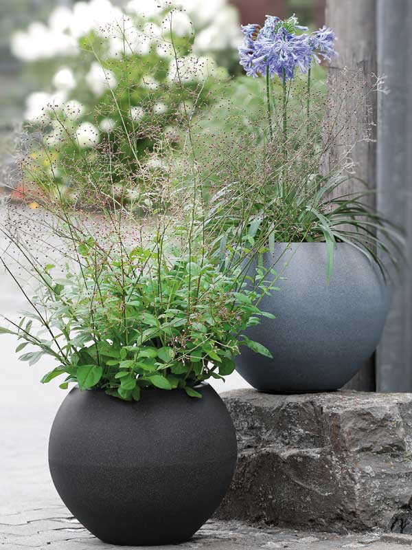 Kugeltoepfe bepflanzt im Freien