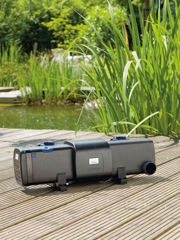Bitron C 36 W auf einem Holzsteg mit Kalmus als Teichbepflanzung im Hintergrund