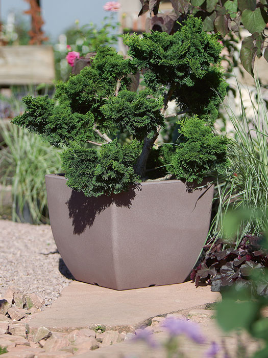 Pflanztopf Ravenna bepflanzt im Garten