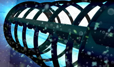 Patentierter Reinigungsrotor