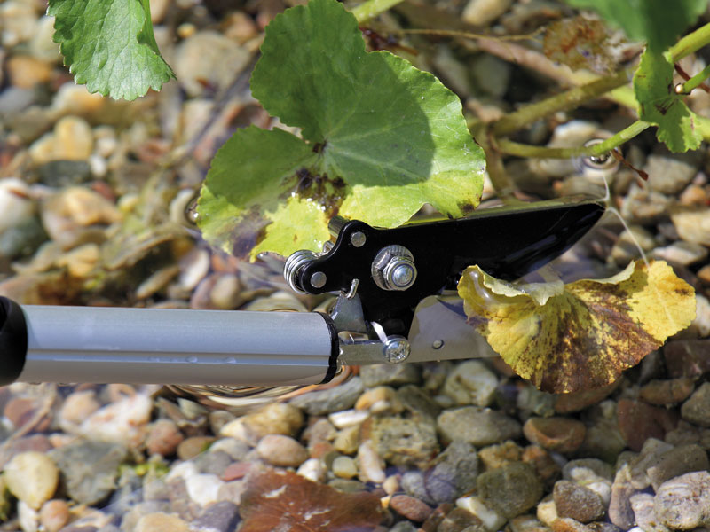 FlexiCut 2 in 1 schneidet ein braunes Blatt einer Wasserpflanze weg