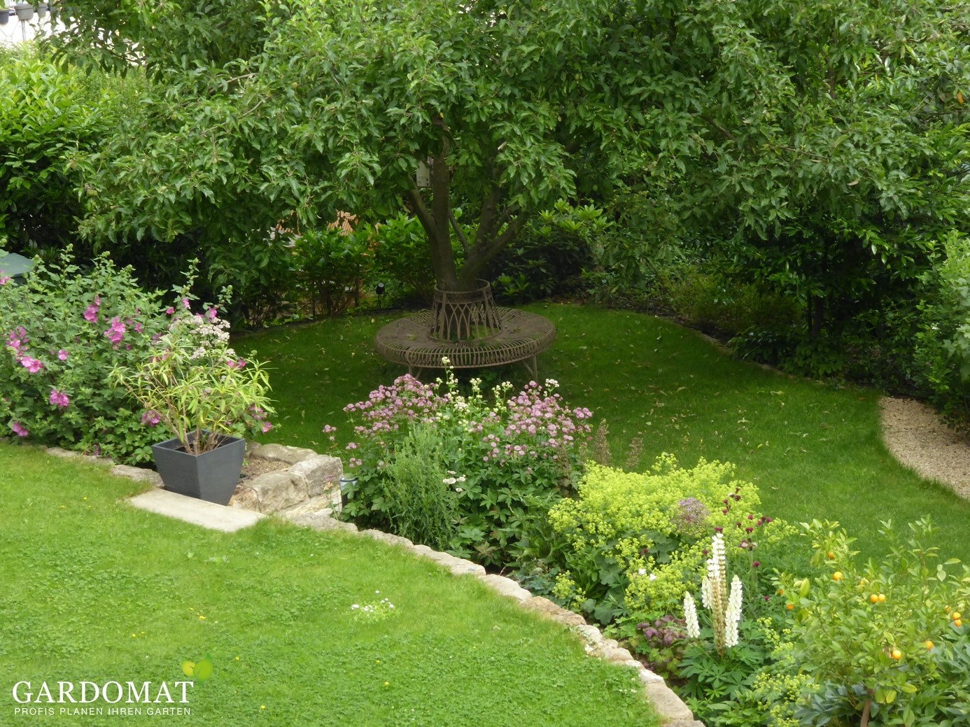 Terrassenbeet mit Blattschmuckpflanzen Terrassenbeet mit Blattschmuckpflanzen und Graeser