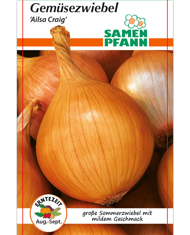 zwiebel-alisa-craig Gemüsezwiebel 'Ailsa Craig' (Art. Nr. G906)