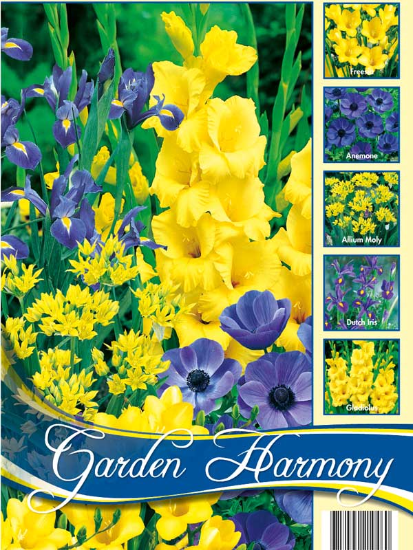 Garden Harmony Sortiment Sommergarten gelb und blau