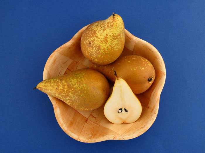 pyrus-conference Schale mit Conference Birne