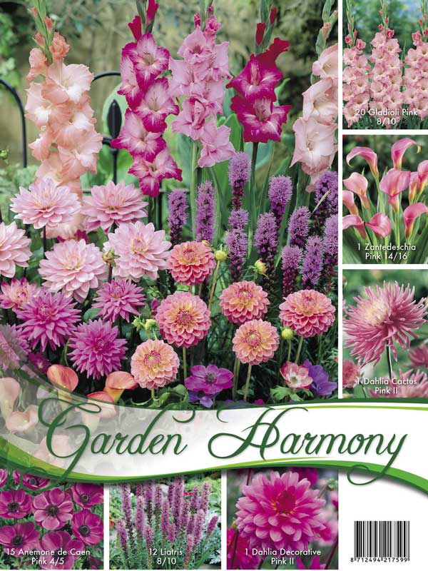 Garden Harmony Sortiment rosa Garten