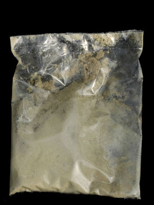 nematoden_versand_80554_1