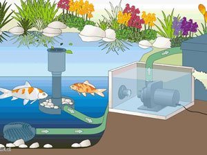 Positionierung einer Teichpumpe