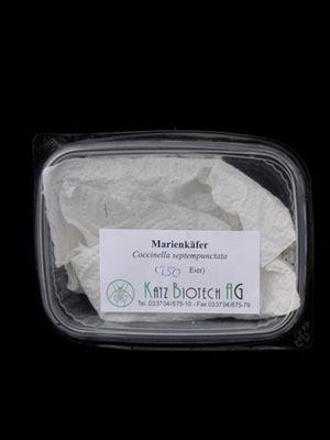 marienkaefer_versand_80491_1