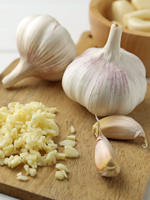 Knoblauchknollen