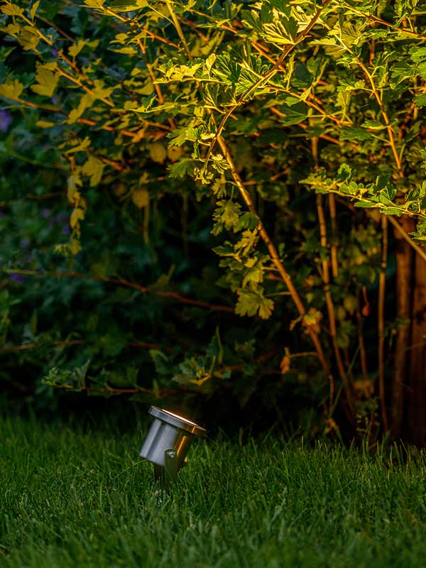 Spotstrahler Catalpa bei Nacht Spotstrahler Catalpa bei Nacht leuchtet einen Strauch an