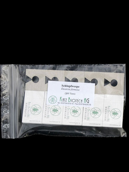 zipbeutel_fuer_schlupfwespe_80549_3