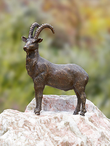 steinbock-bronze-klein Bronzefigur Steinbock klein (Art.Nr. 88579)