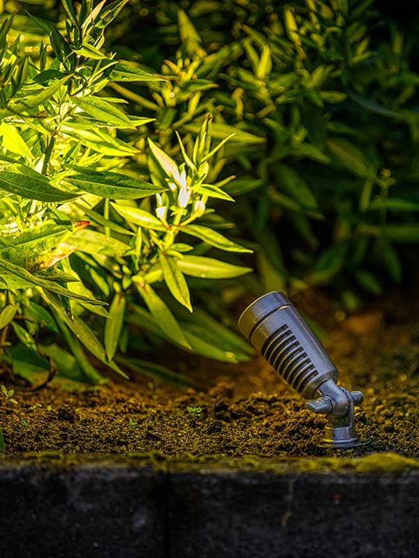 Spotstrahler Minus im Einsatz Spotstrahler Minus leuchtet bei Nacht auf einen Strauch