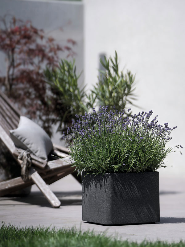 Pflanztopf Cube Quadrat in Anthrazit bepflanzt im Freien