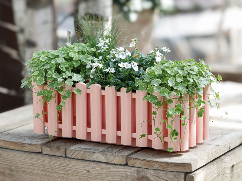 Blumenkasten Aqua Palido in Zartrosa bepflanzt