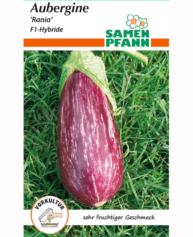 aubergine-rania Aubergine 'Rania' F1-Hybride (Art.Nr. G098)