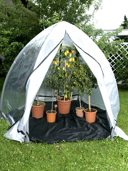 florinol Florino - Model L (Art.Nr. FL900102)