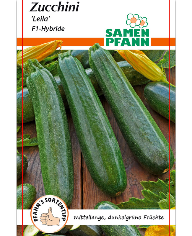 zucchini-leila Zucchini 'Leila' - F1-Hybride (Art.Nr. G517)