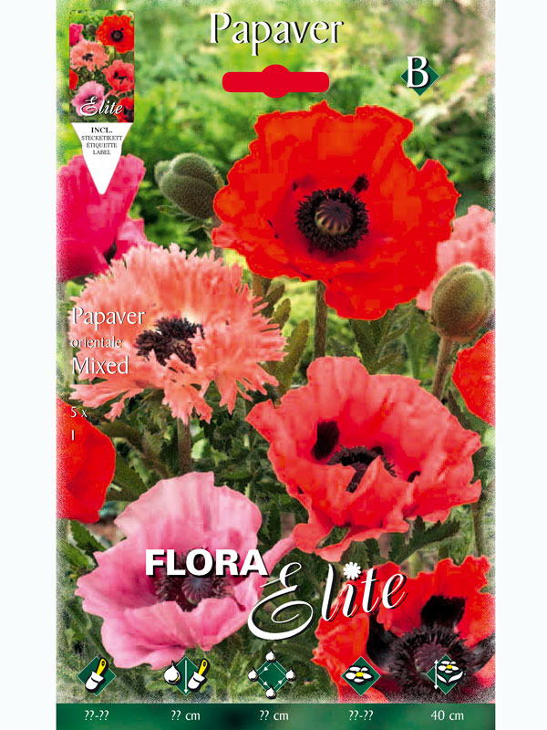 tuerkischer-mohn-mischung Türkischer Mohn Prachtmischung, Papaver orientale (Art.Nr. 5219120)