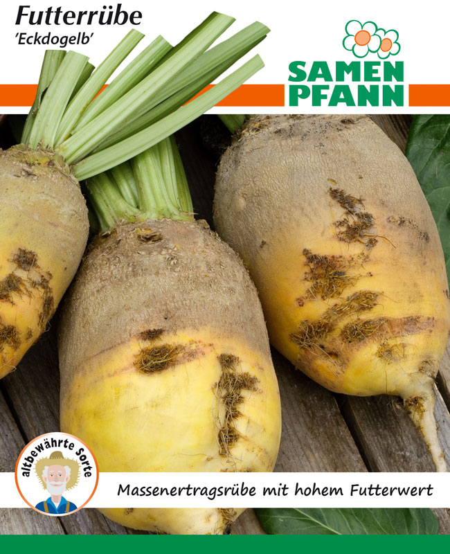 futterruebe-eckdogelb