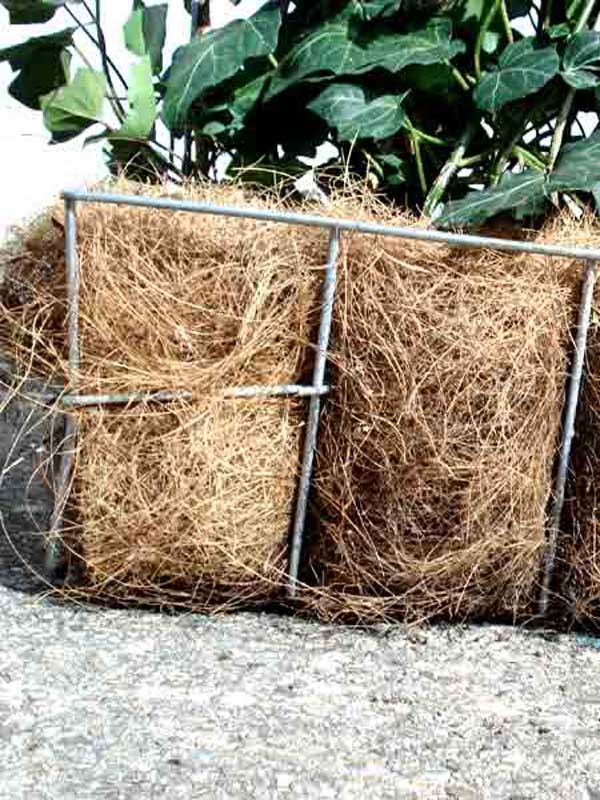 Topfballen mit einem Kokosgeflecht umgeben