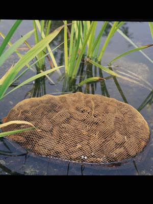 aquahumin2_73050_1 AquaHumin von OASE (Art.Nr.53759)