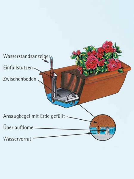 Aufbau und Details Blumenkasten Aqua