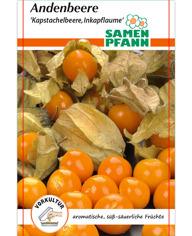 andenbeere-inkapflaume Andenbeere 'Inkapflaume' (Art.Nr. G090)