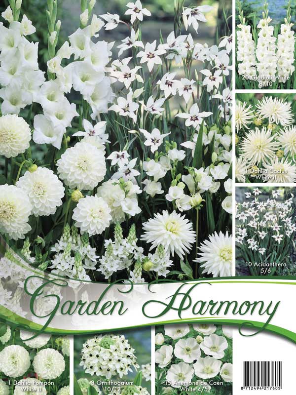Garden Harmony Sortiment weißer Garten