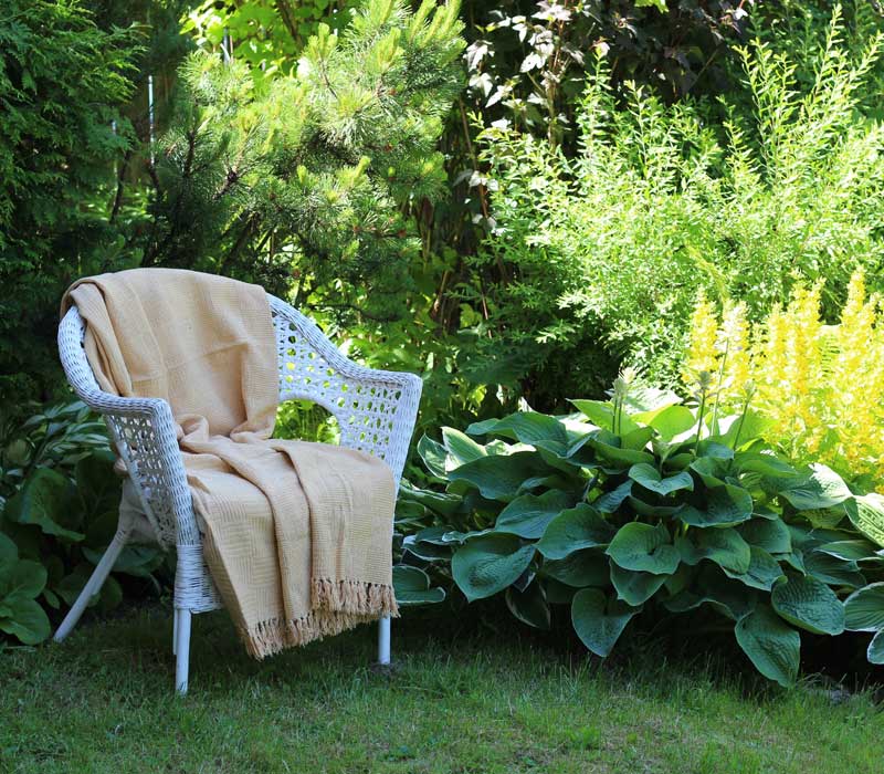 Stuhl auf einer Wiese im Schatten neben einem schattigen Beet