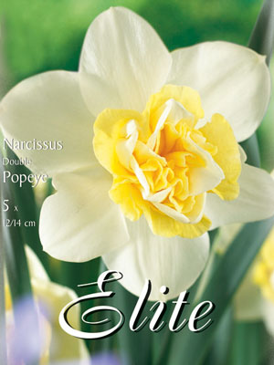 narcisse_popeye_78355_0