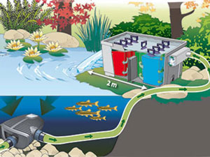 Positionierung einer Teichpumpe