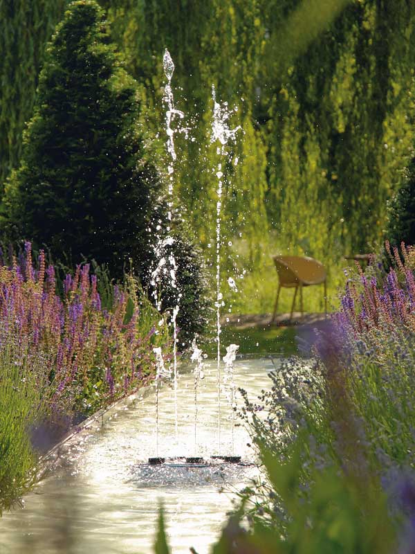 Water Quintet in Garten zwischen Lavendel