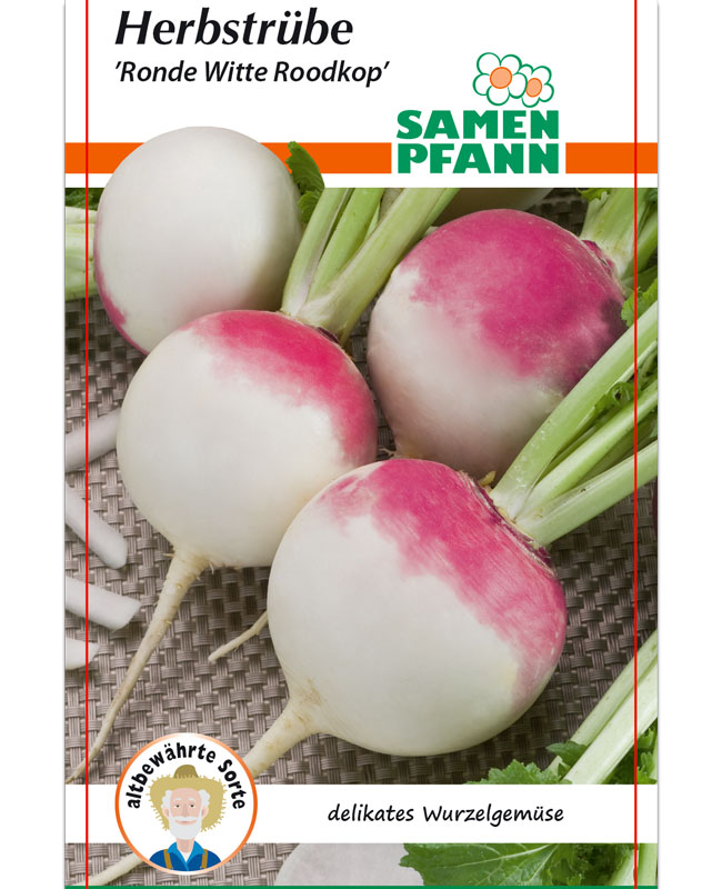 herbstruebe-ronde-witte-roo Herbstrübe 'Ronde Witte Roodkop' (Art.Nr. G684)