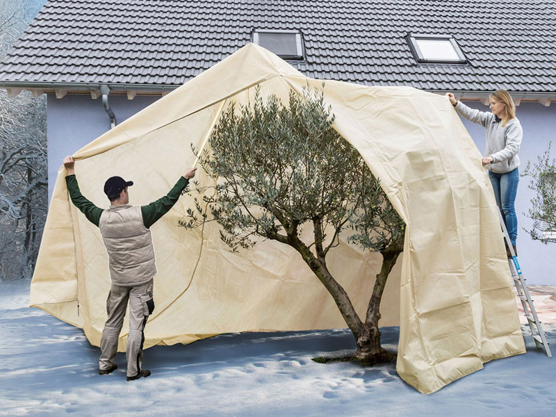 Winterschutzhaube Mediterran wird gerne an einen Baum besfestigt