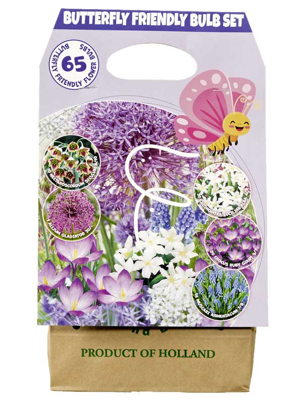 Schmetterlingsfreundliche Blumenzwiebelmischung in Packung