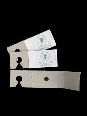 schlupfwespe_versand_verpac_80549_2