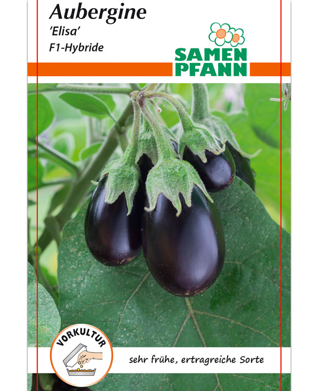 aubergine-elisa