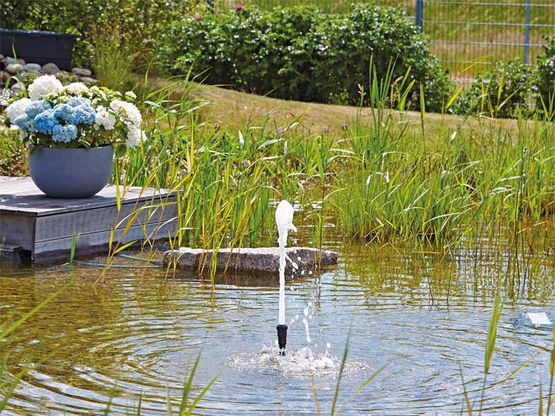 Schaumsprudler in einem ueppig bewachsenen Teich