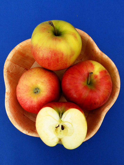 malus-jonagold55599dc1d2b7d Jonagold, Apfel - U-Spalier