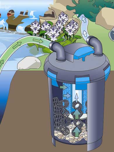 Querschnitt eines BioPress-Filters