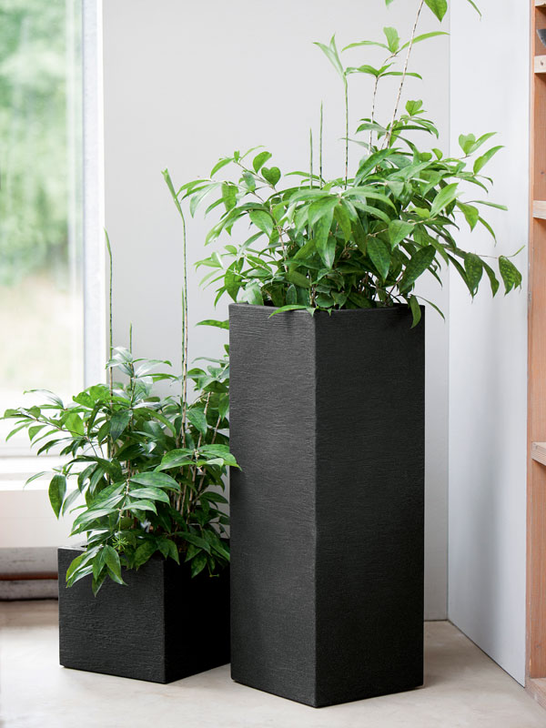 Pflanzkuebel Kubus Saeule bepflanzt im Haus