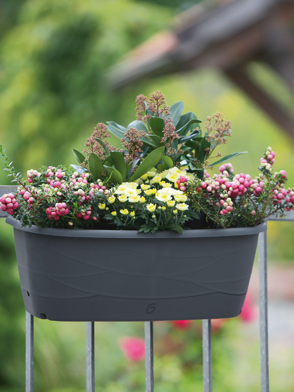 Blumenkasten Maya