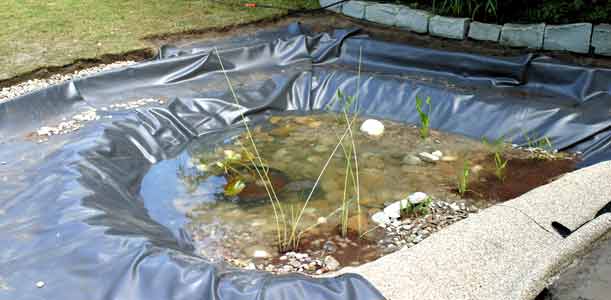 Teich mit Wasser und Kies gefuellt