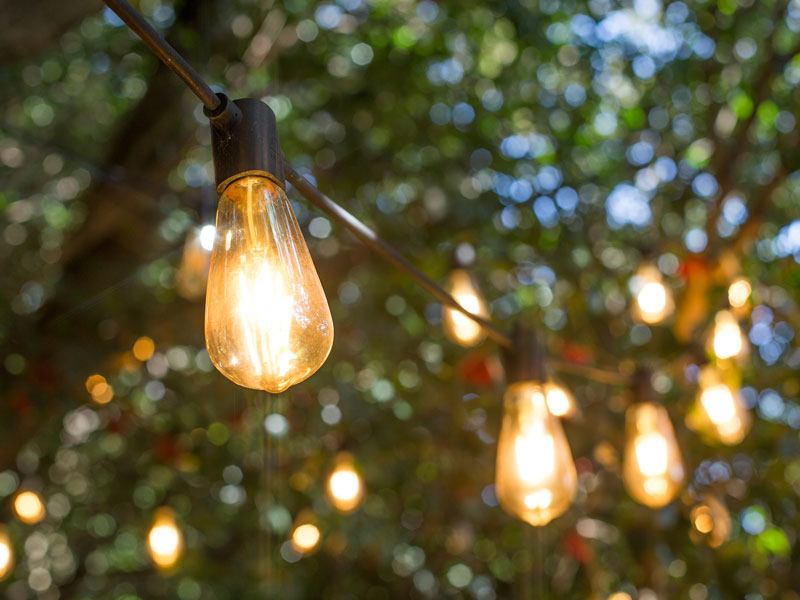 Lichterkette Partylights Filament in einer Baumkrone aufgehaengt